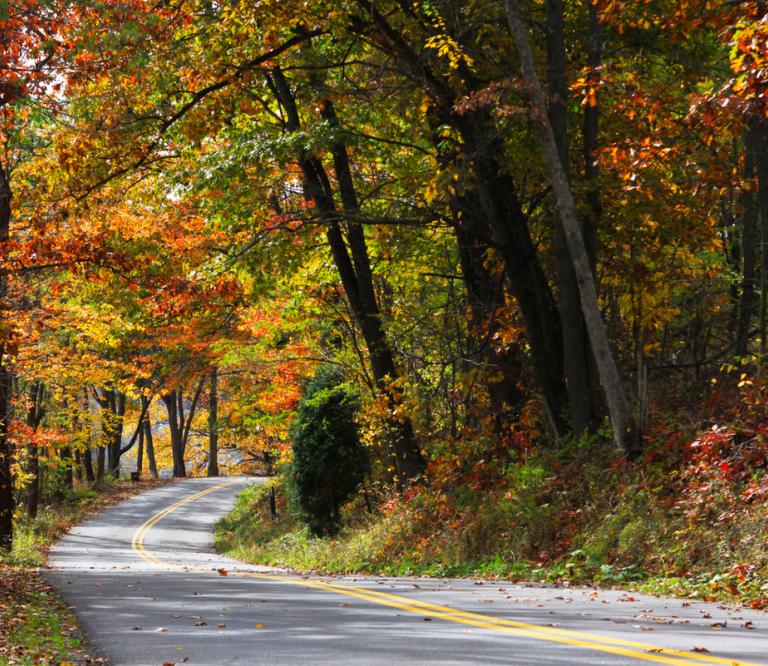 Scenic Road with Fall Foliage