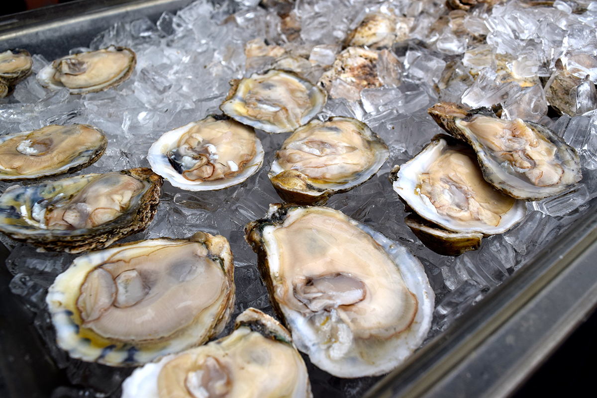 Shucked oysers on ice
