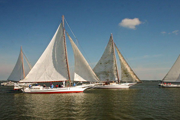 Skipjack Race