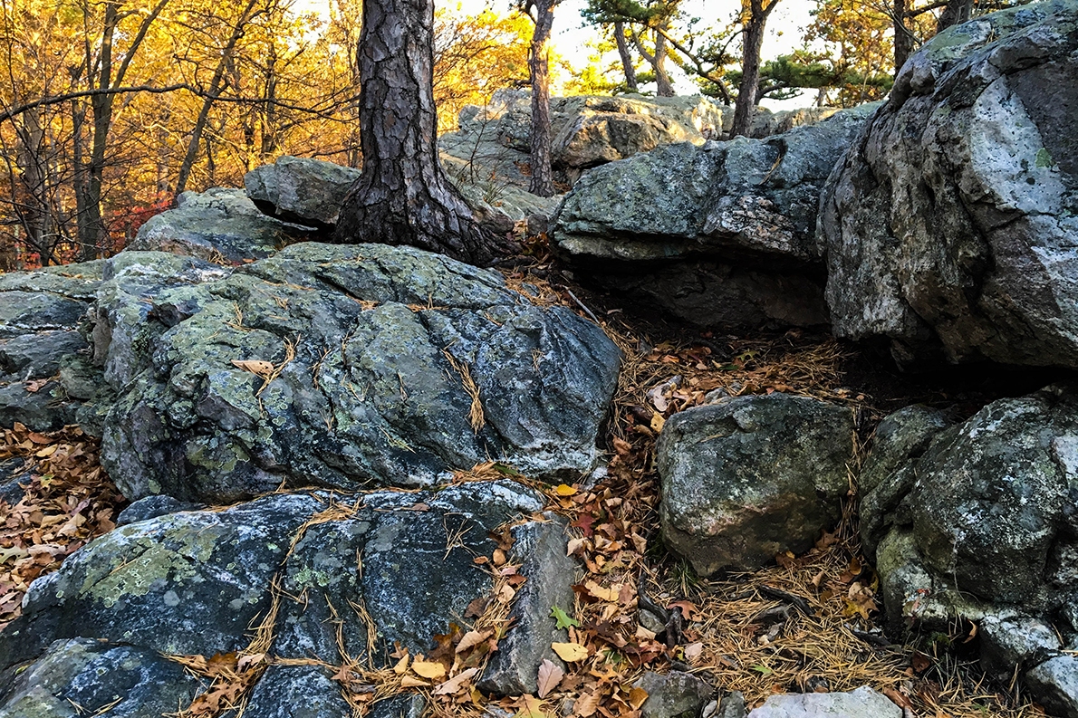 Catoctin Mountain Park
