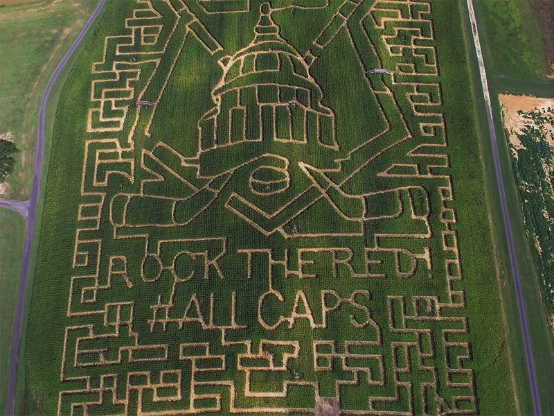 Bowles Farm Corn Maze with Washington Capitals Theme.