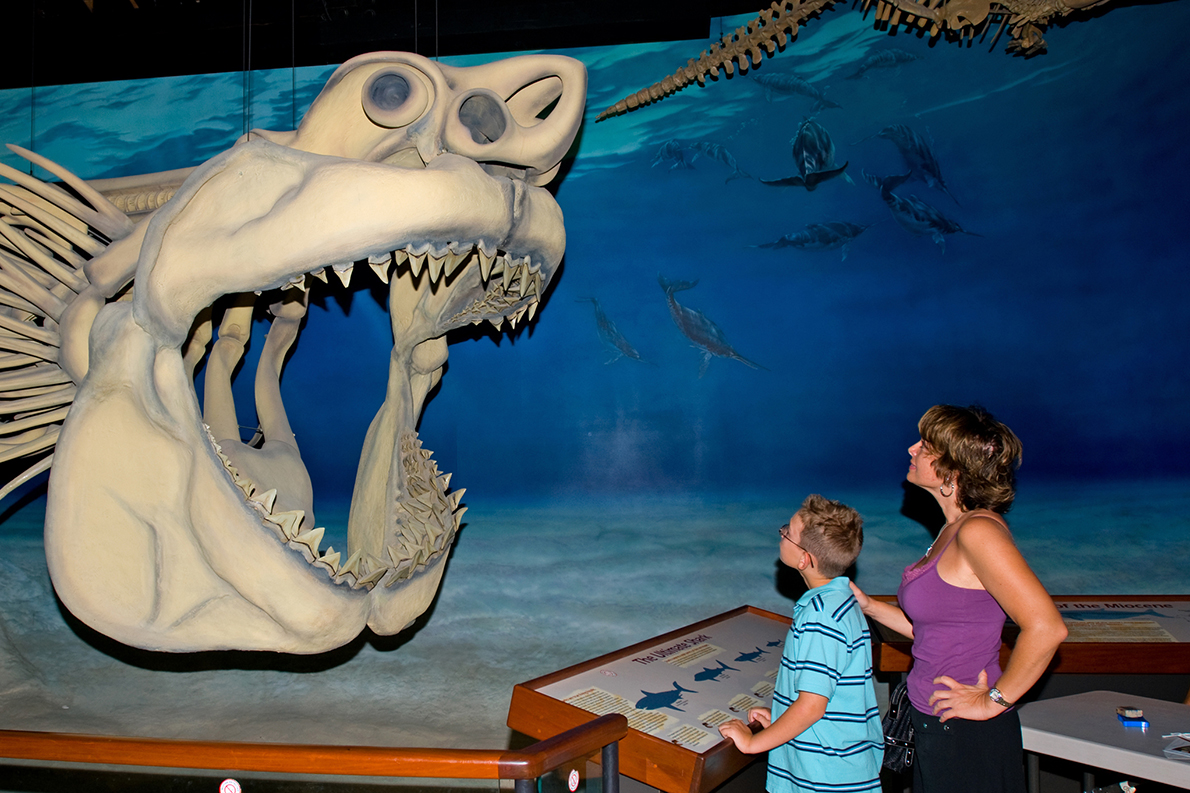 Calvert Marine Museum-Mason &amp; Chandra  at  Megalodon-model