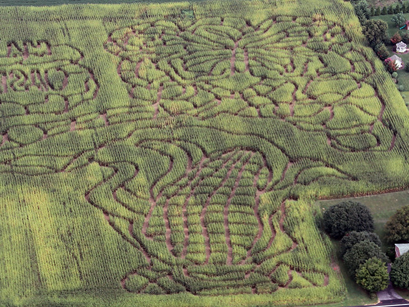 Celebration Farm's Hagerstown Corm Maze