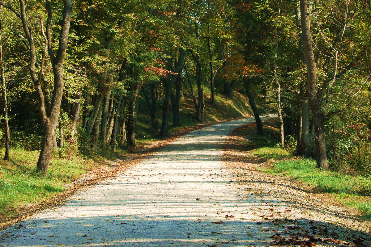 Fair Hill Natural Resources Management Area