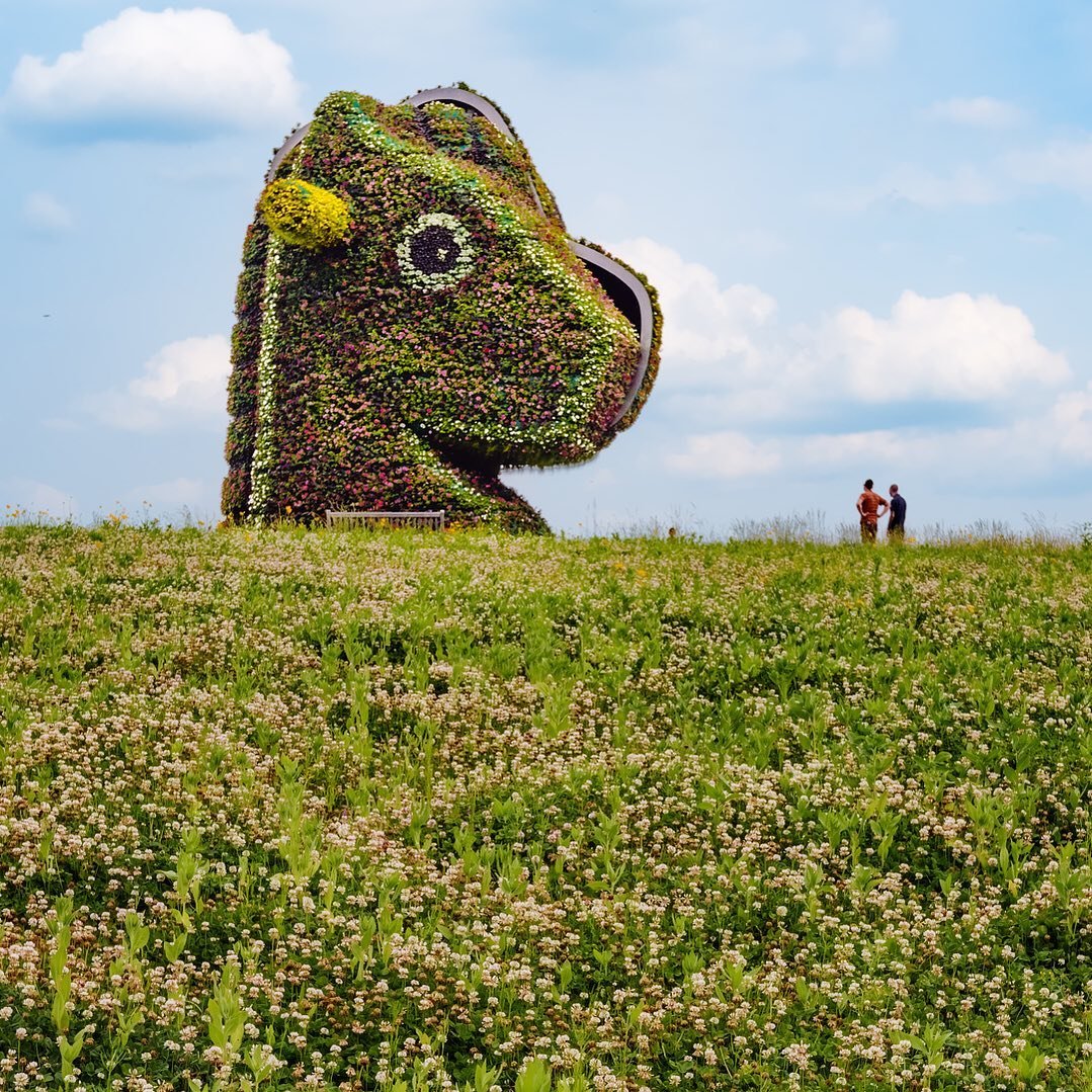 Split Rocker sculpture in full glory on the crest of a clover-covered hill.
