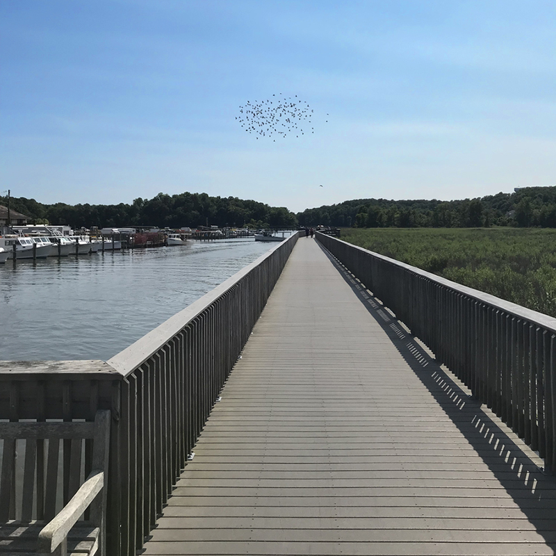Chesapeake Beach Railway Trail or Rail Trail