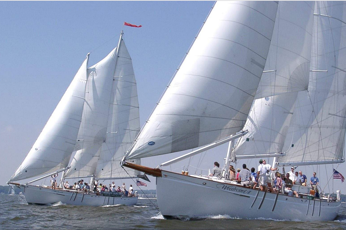 Schooners Woodwind and Woodwind II racing each other during the Wednesday Night Races.
