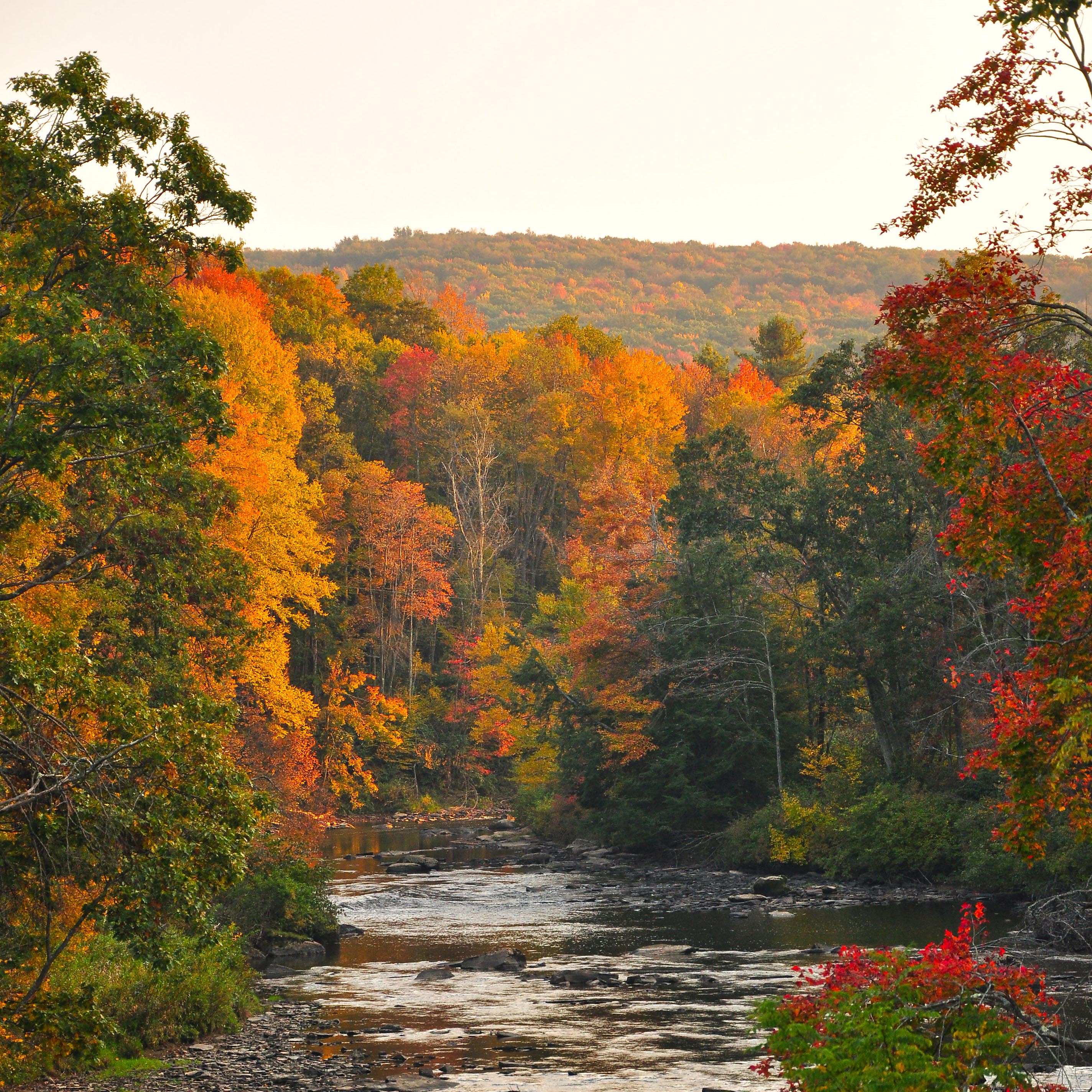 Youghiogheny River in the Fall