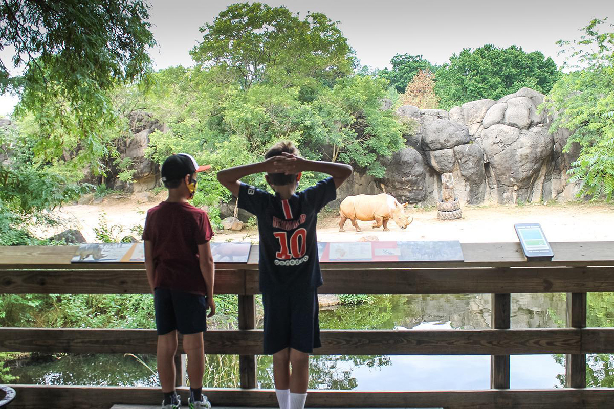 Two boys admiring the rinos at the Maryland Zoo in Baltimore City