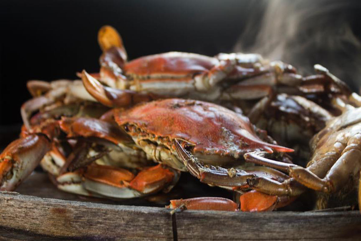 Steamed crabs from Somerset County