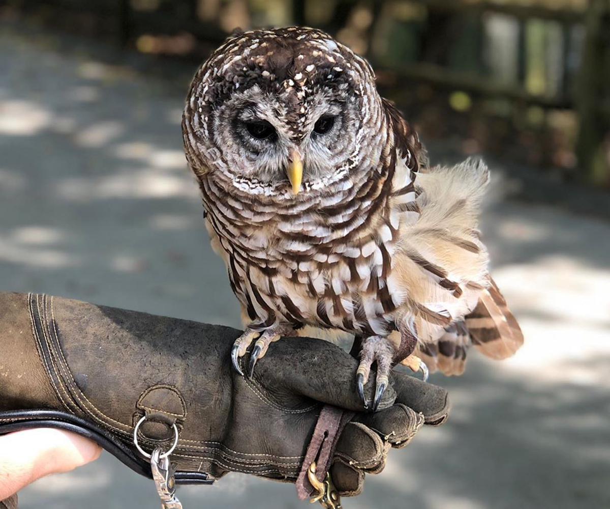 Salisbury Zoo in Wicomico County