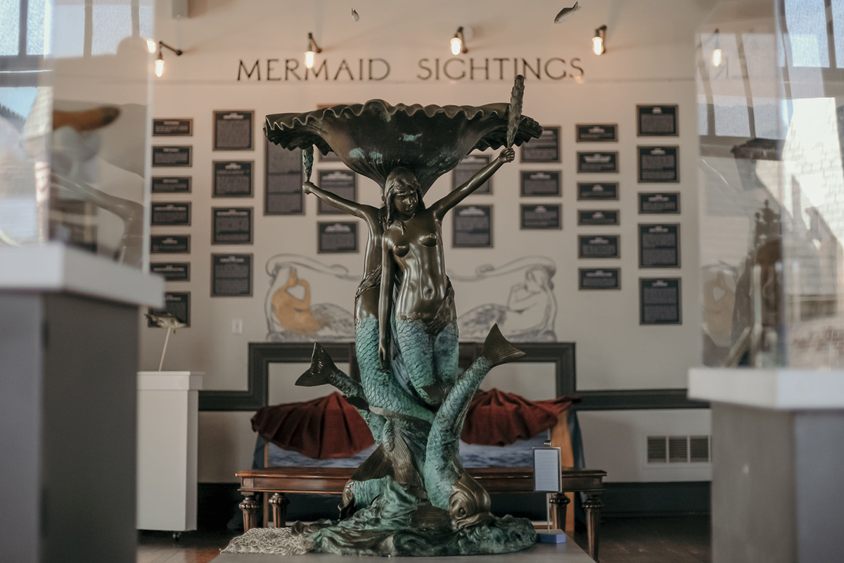 The Mermaid Museum in Worcester County