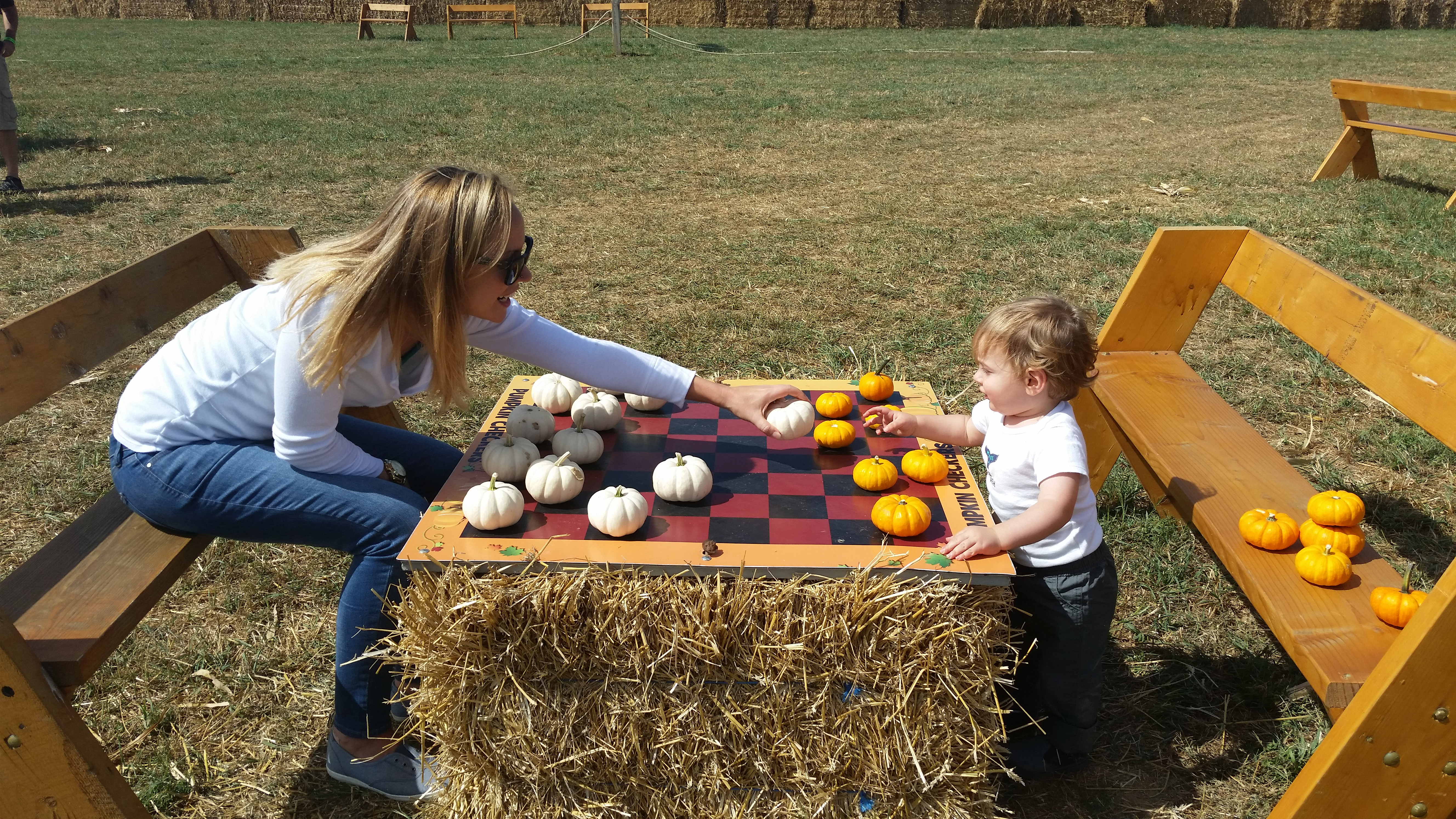 woman and baby playing board game at summers farm