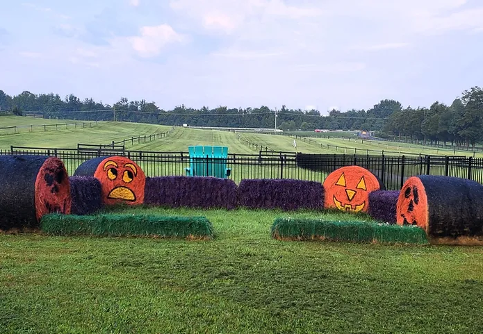 Farm Activities - Montpelier Farms