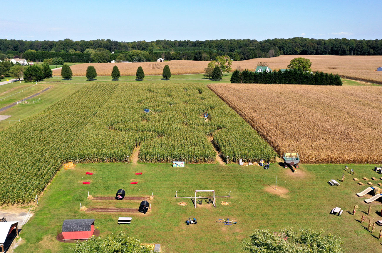 Councell Farms’ Field Of Fun