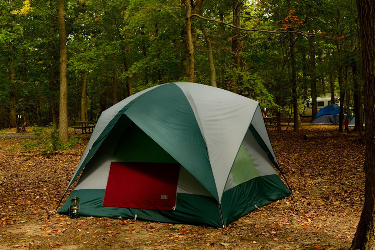 A tent set up on a campsite at the Greenbelt Park