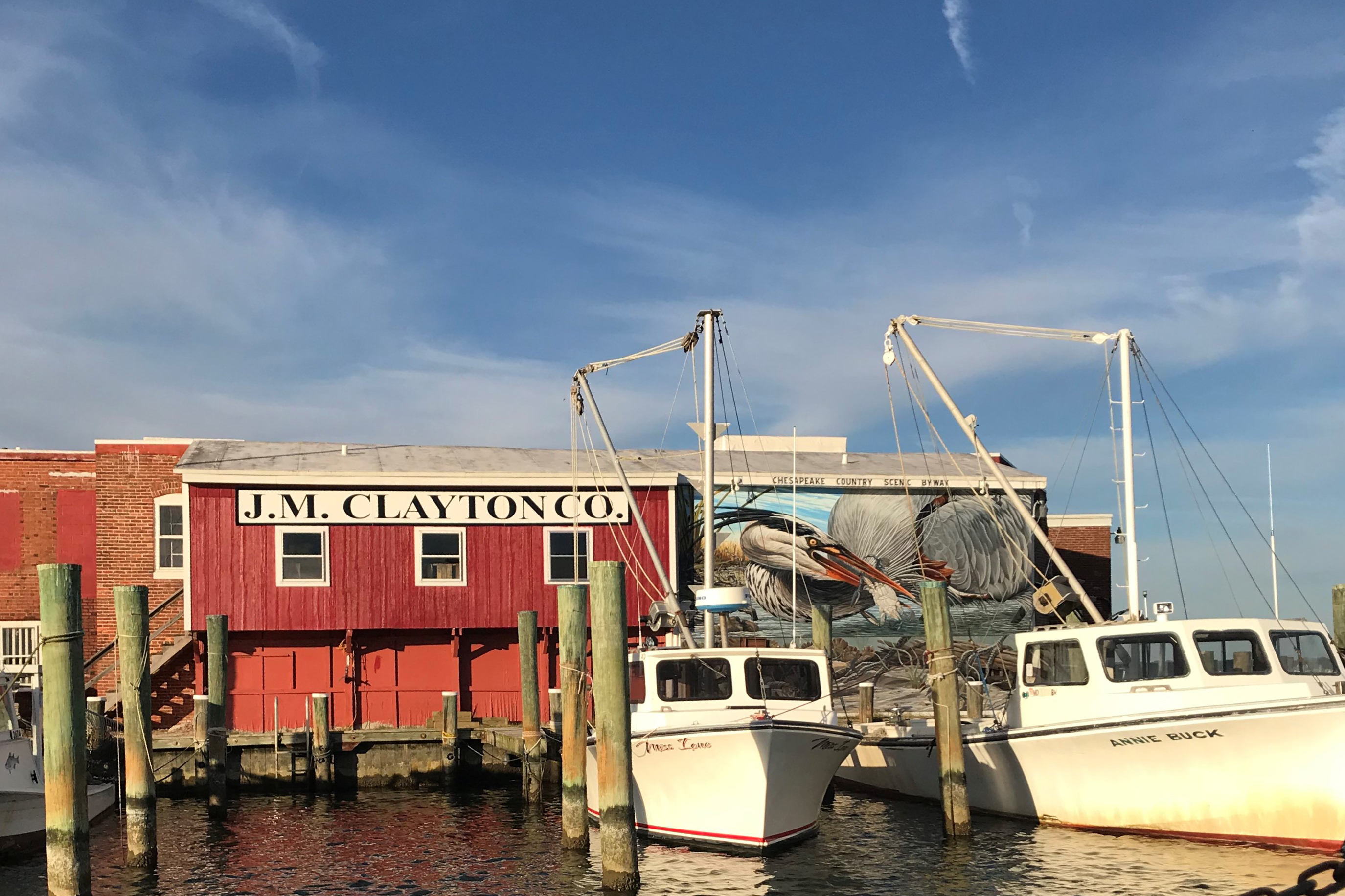 Heron Mural, Cambridge