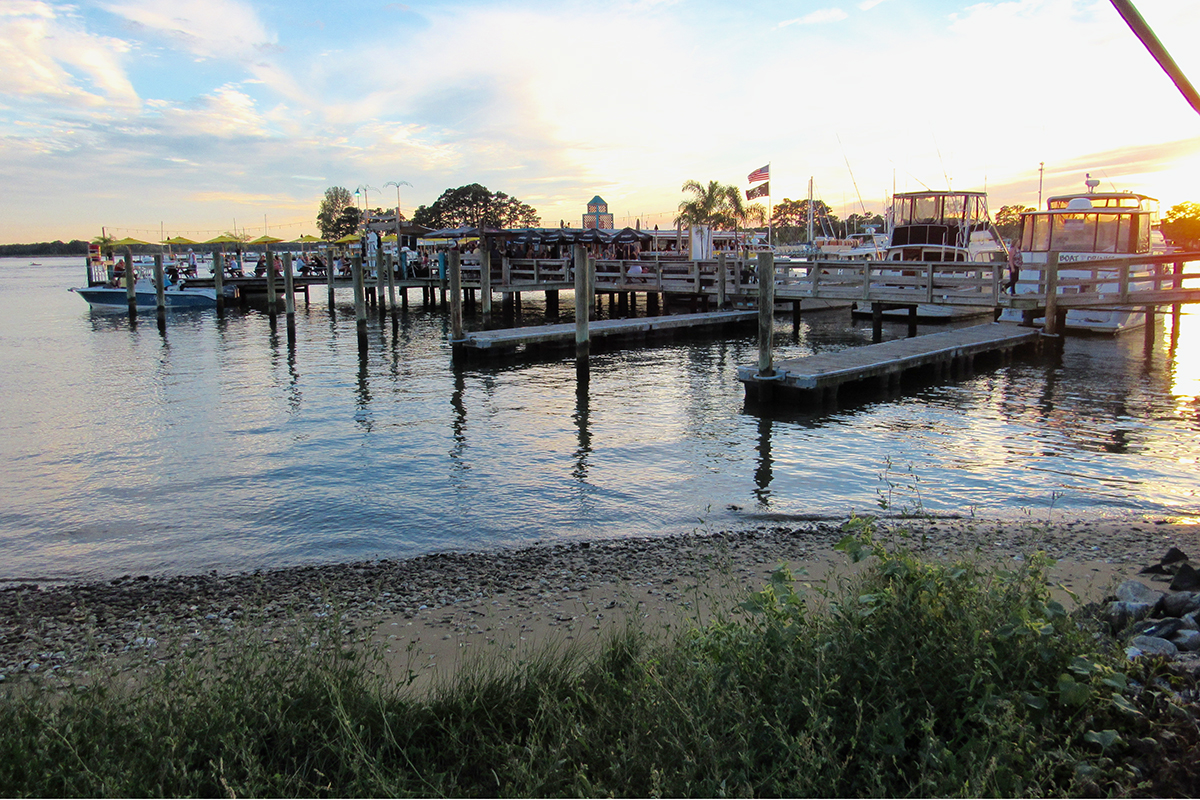 Kent Narrows, Big Owls at Sunset
