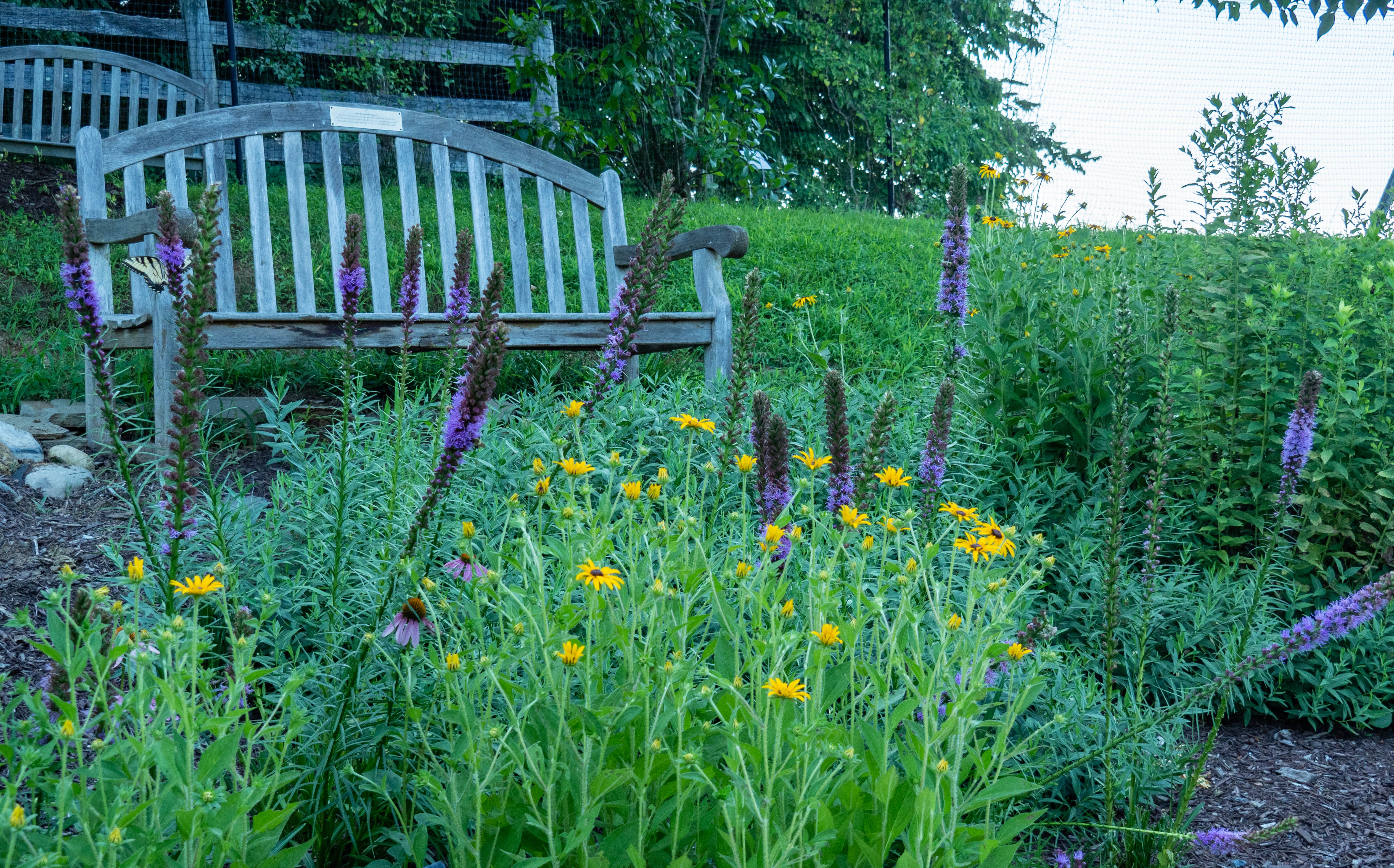 The Howard County Conservancy