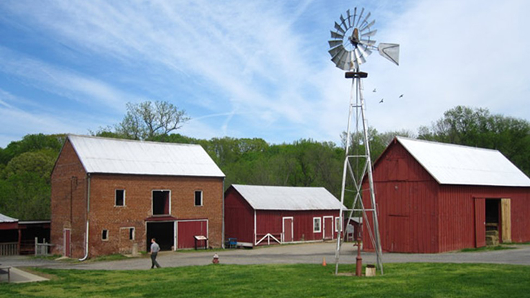 Berry Farm at Oxon Cove Park and Oxon Hill Farm