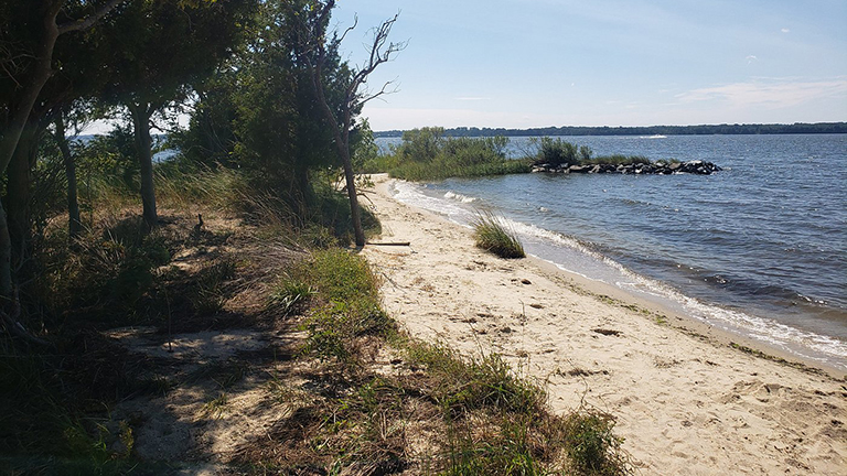 Jefferson Patterson Park & Museum