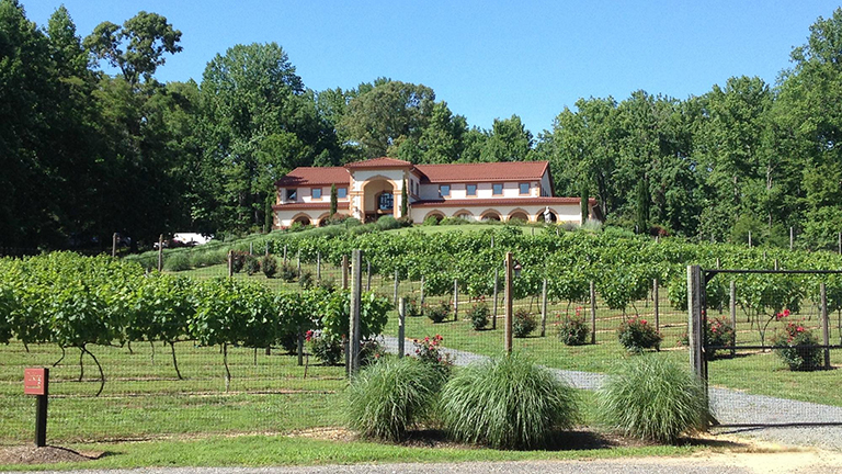 Running Hare Vineyard