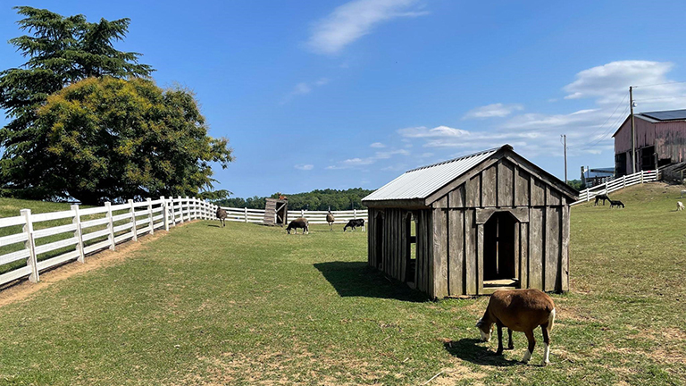 Serenity Farm / Camp Stanton