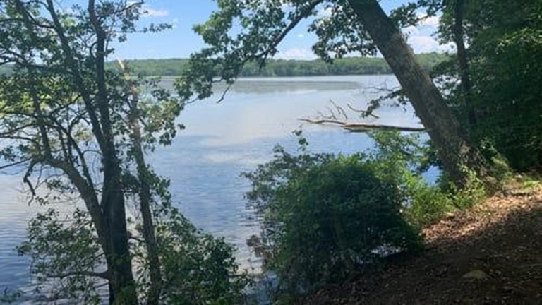 Friendship Farm Park