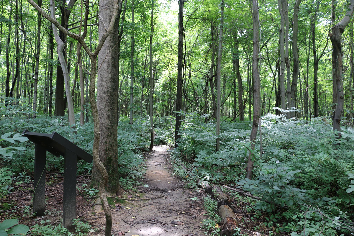 Fox’s Gap - South Mountain Battlefield State Park
