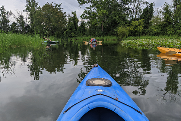 Anita C. Leight Estuary Center Kayaking