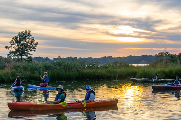 Capital SUP: Quiet Waters Park