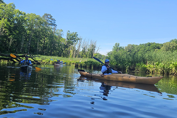 Chesapeake Bay Maritime Museum Kayaking