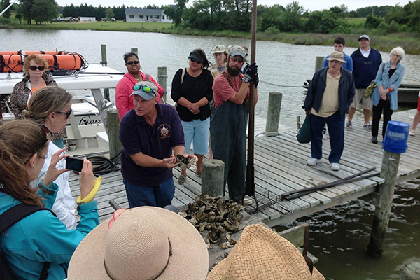 Fish the Bay Charter Oyster Tonging Demonstration