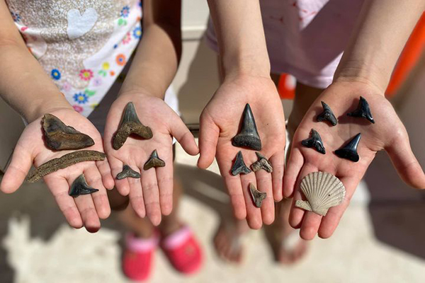 Fossil Hunting with Megalodon Adventures 