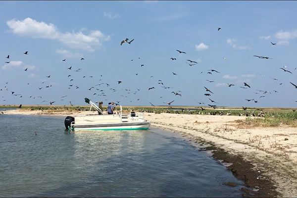Experience Smith Island 