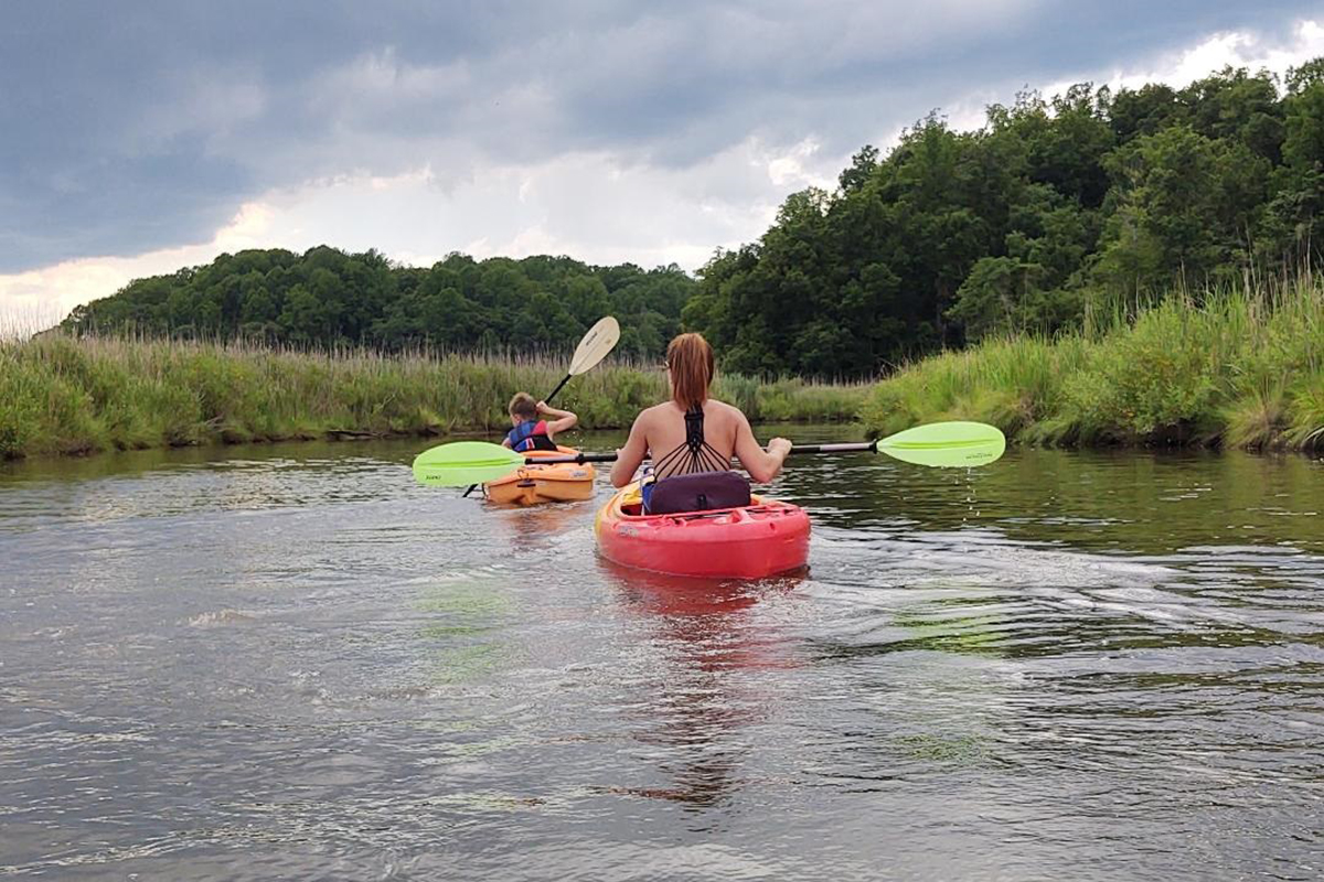 Megalodon Adventures Kayaking Trip