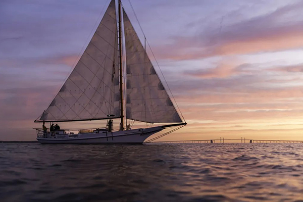 Annapolis Maritime Museum/Skipjack Wilma Lee 