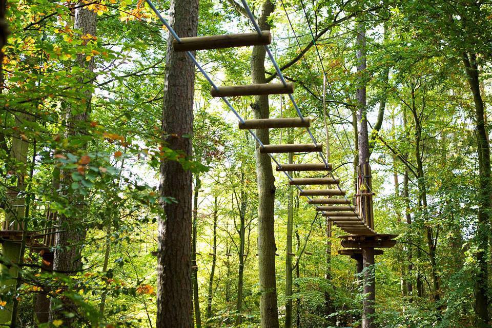 For zip lining and active fun outdoors, head to the Go Ape Treetop Adventure Course in Rockville.