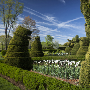 Ladew Gardens in spring