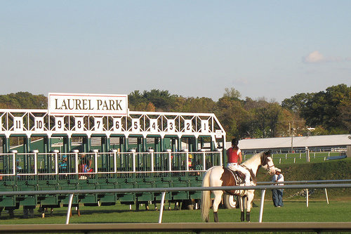 Horse racing track