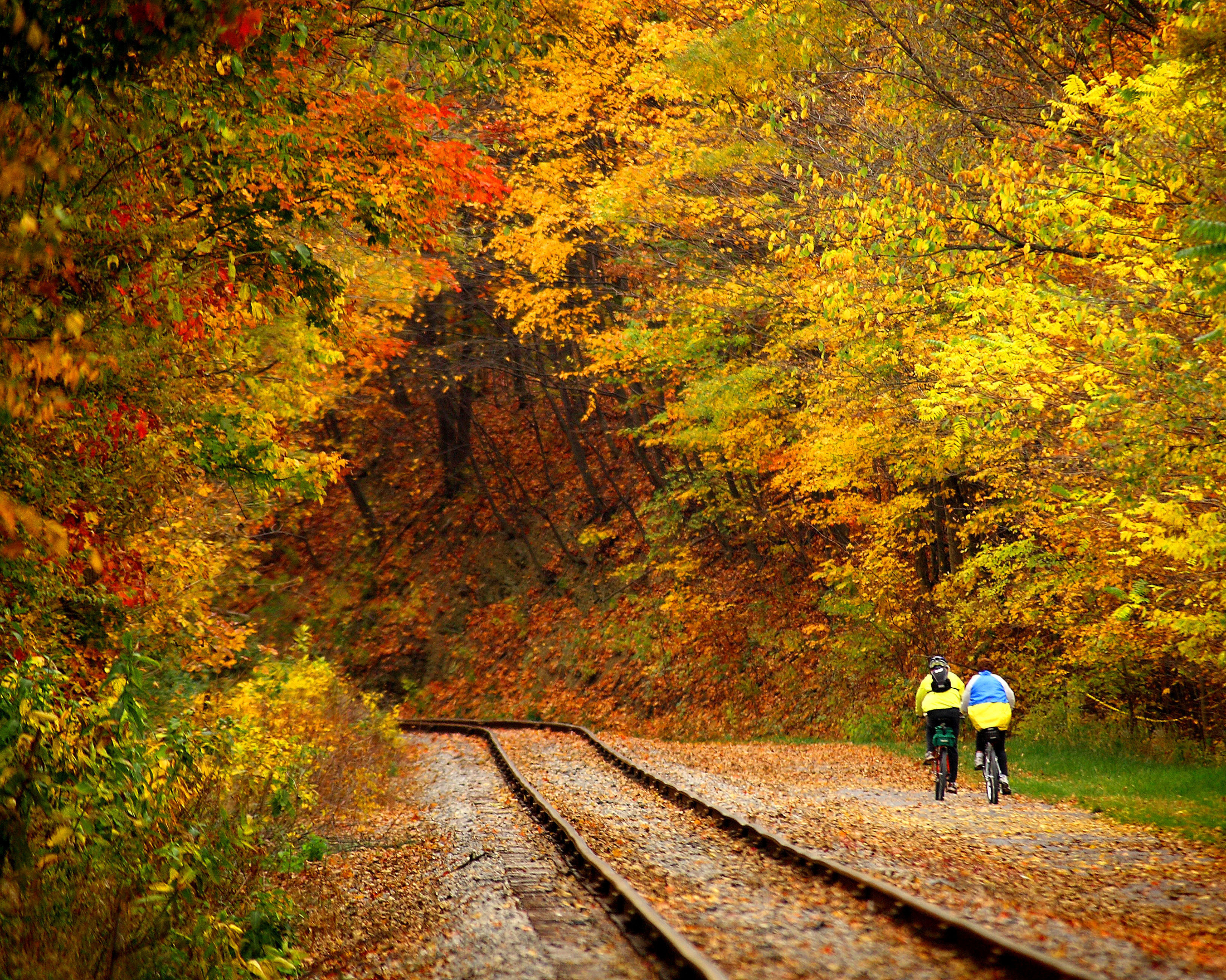 Bike Trail and Tracks of Maryland