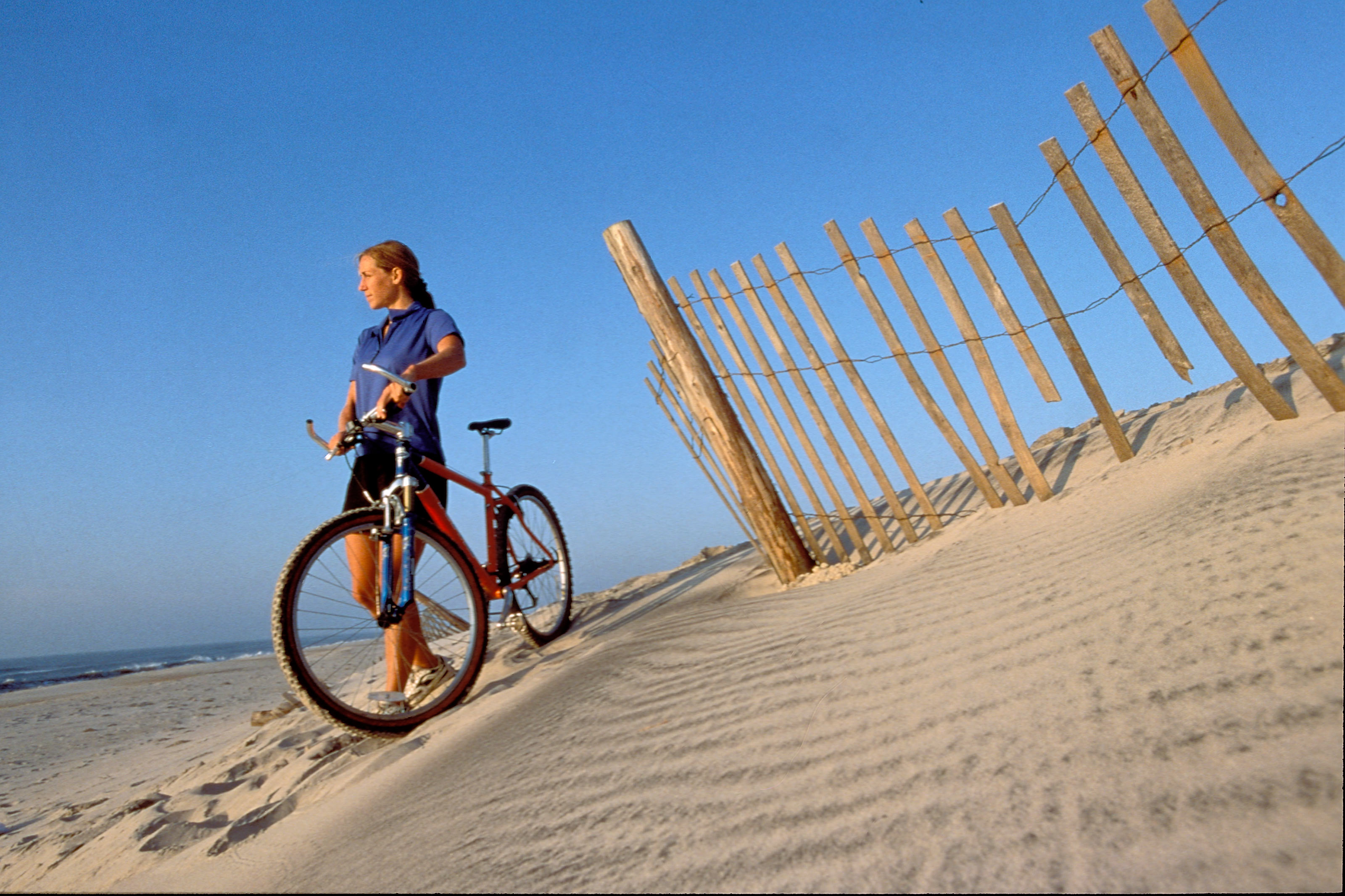 Biking is a great way to experience Assateague Island. Enter the island from the Visitor's Center over a dedicated pedestrian/bike bridge and ride on paved paths through 4 miles of natural habitat.