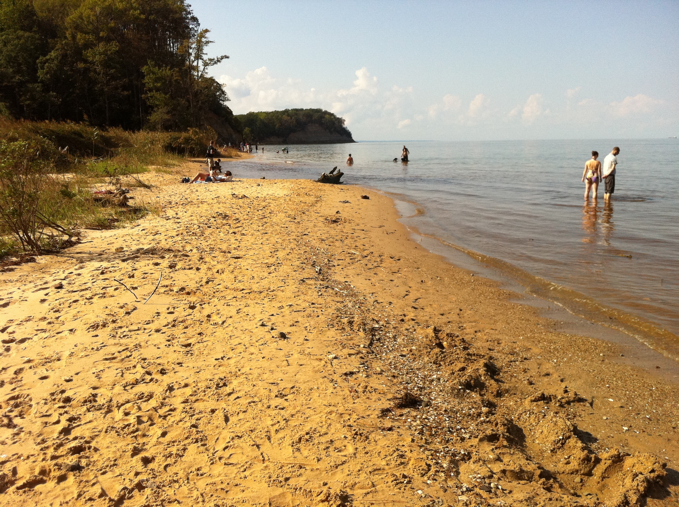 This Chesapeake Bay beach is famous with fossil hunters looking for sharks teeth.