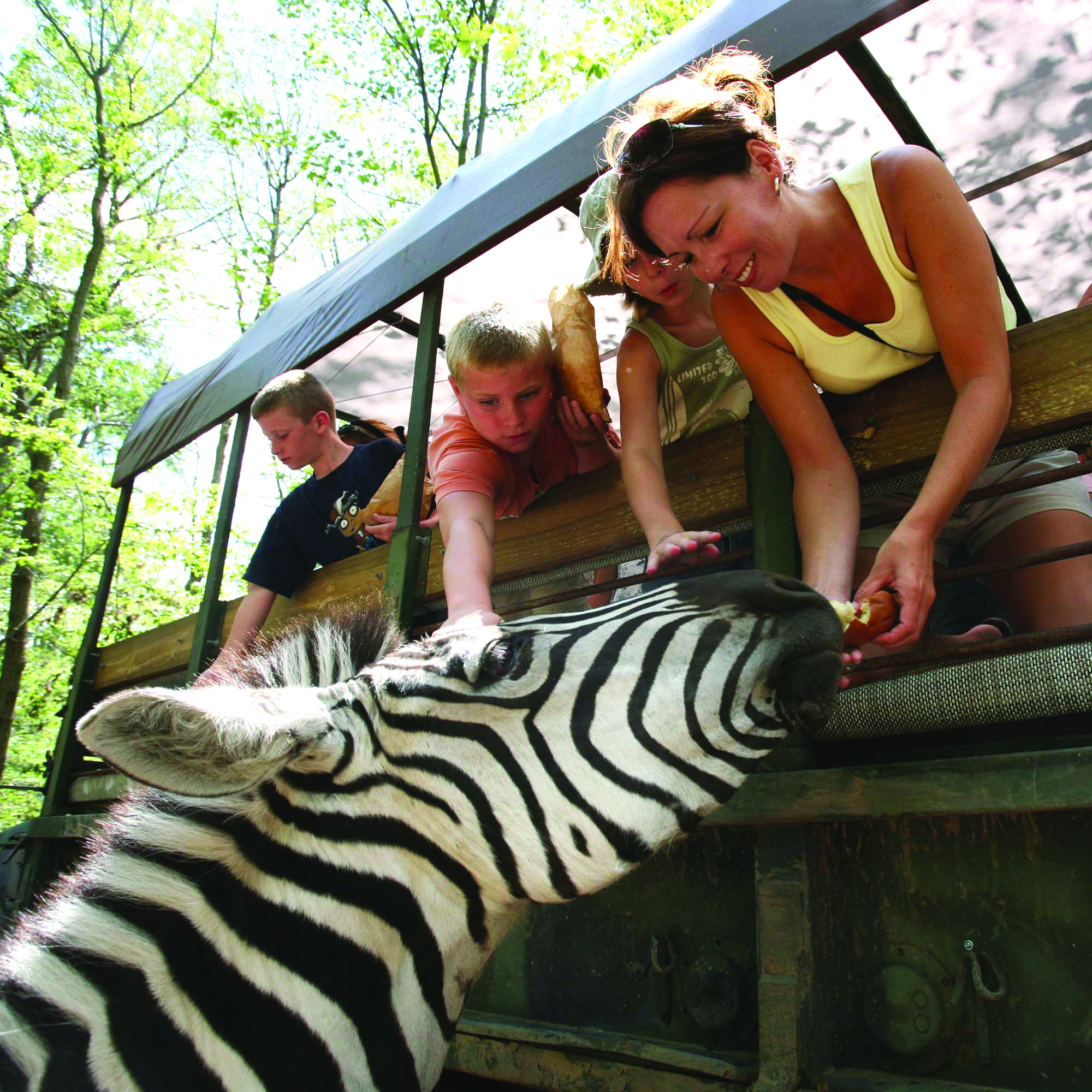 Zoo Safari at the Catoctin Wildlife Preserve and Zoo