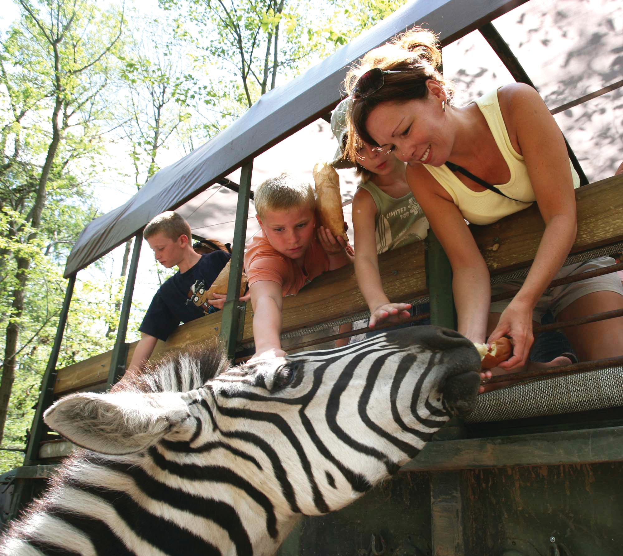 Zoo safari at the Catoctin Wildlife Preserve and Zoo in Thurmont