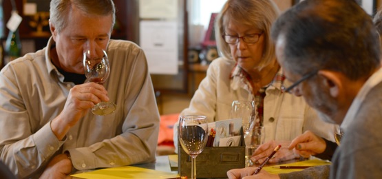 Senior couple drinking wine