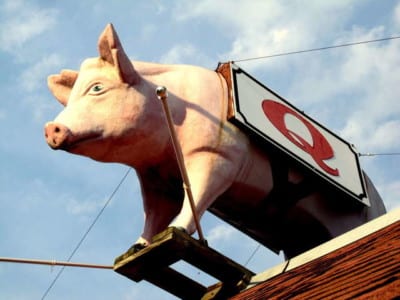 Sign with pig and "Q"