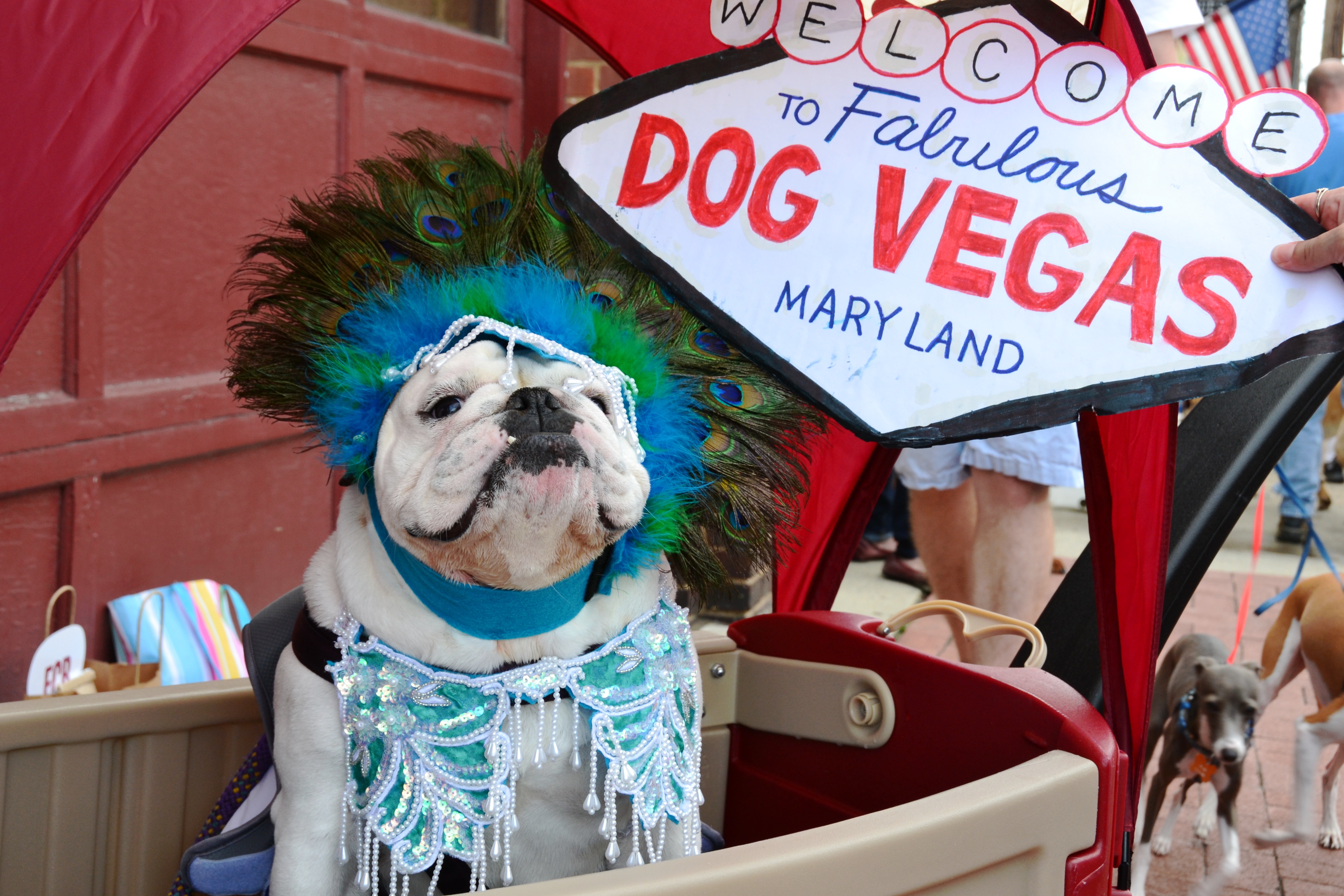 Frederick goes to the dogs every year with this event featuring a doggy costume contest.