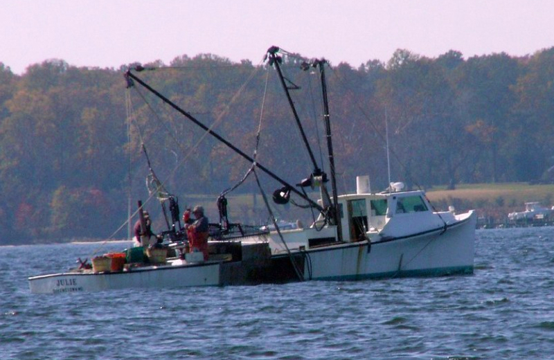 work boat