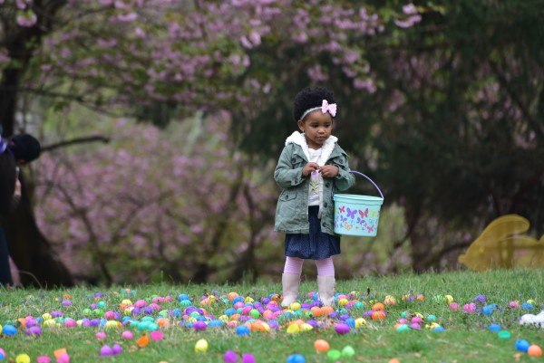 Mary Sue Candies Bunny BonanZOO